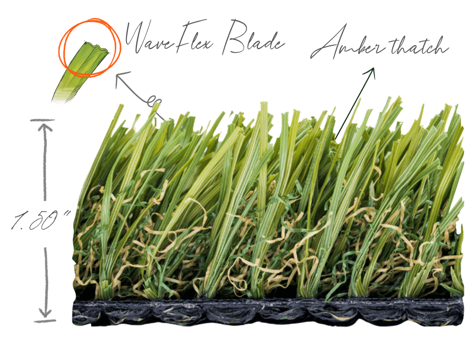 Summer Fescue®